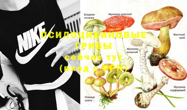 ешки Алексеевка