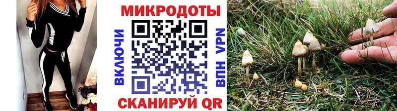 Галлюциногенные грибы Psilocybe  цена   Еманжелинск 